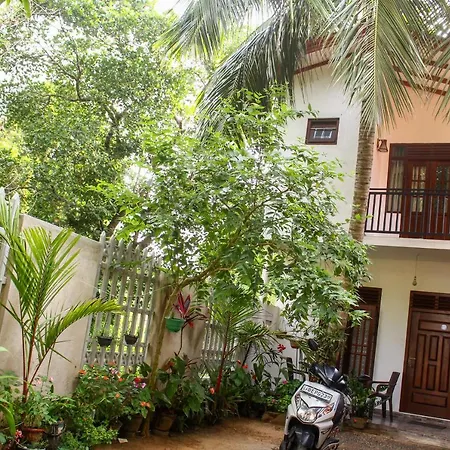 Villa Nature View-3